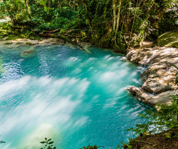 Blue Hole & Dunn’s River Falls Combo